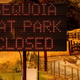 Imagen para el artículo titulado Un incendio amenaza algunos de los árboles más grandes del planeta en el Parque Nacional Sequoia